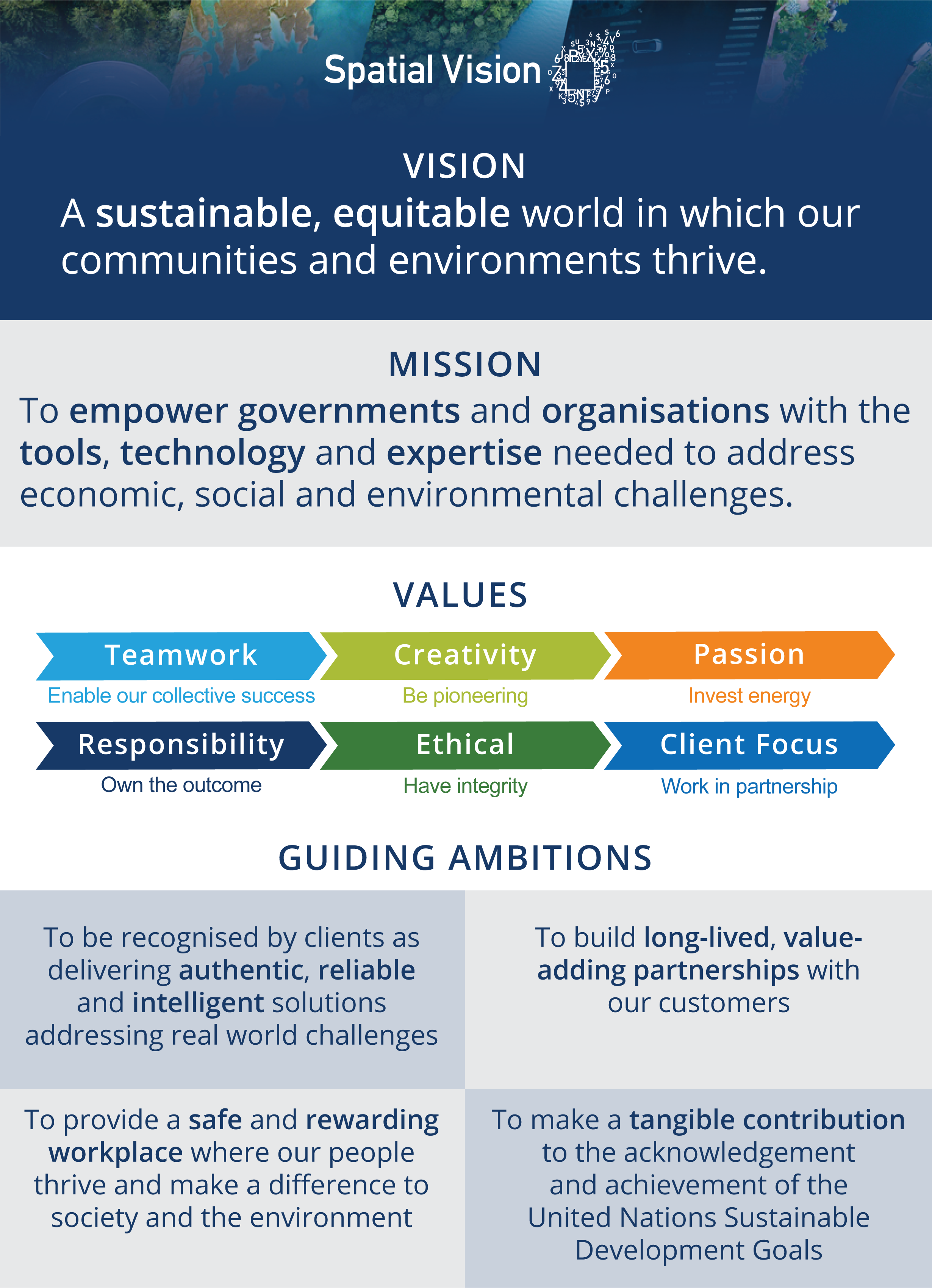 Spatial Vision's Statement of Purpose